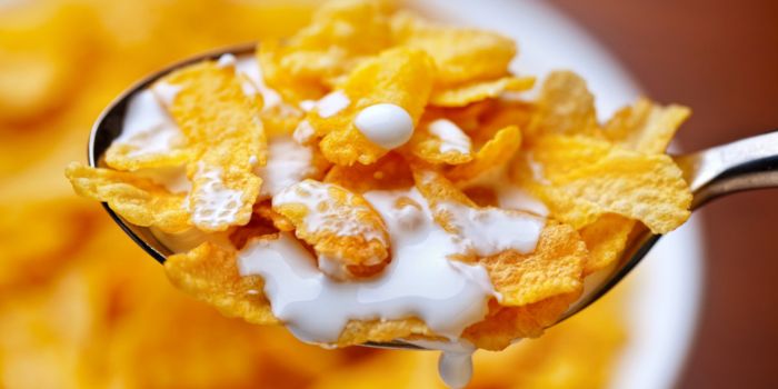 ARE CORNFLAKES HEALTHY