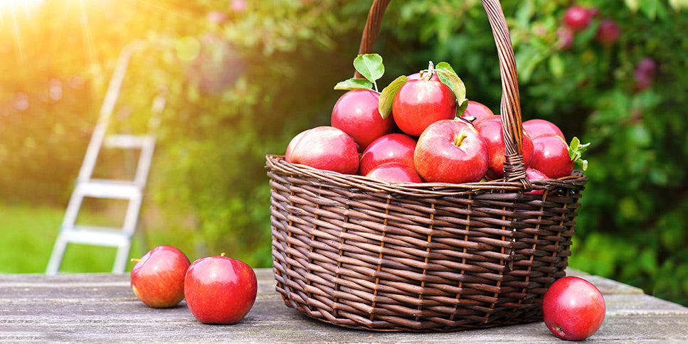apples