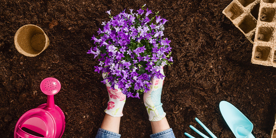 Gardening Tips For Beginners