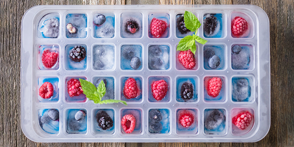 Frozen Food Guide